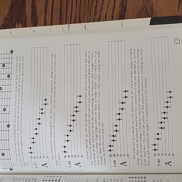 Blues Guitar  inside & out - Picture 5 of 6